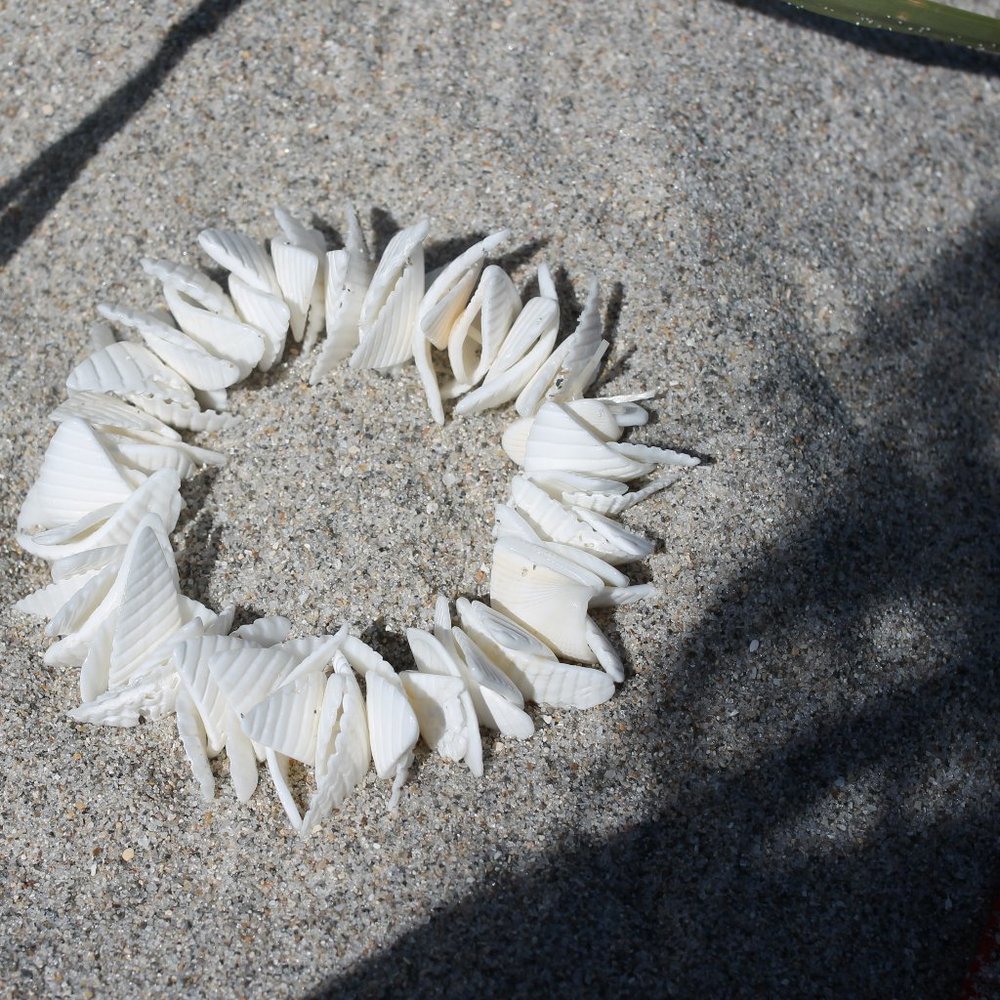 Bermuda Triangle Sea Shell Bracelets - Picture 5 of 5